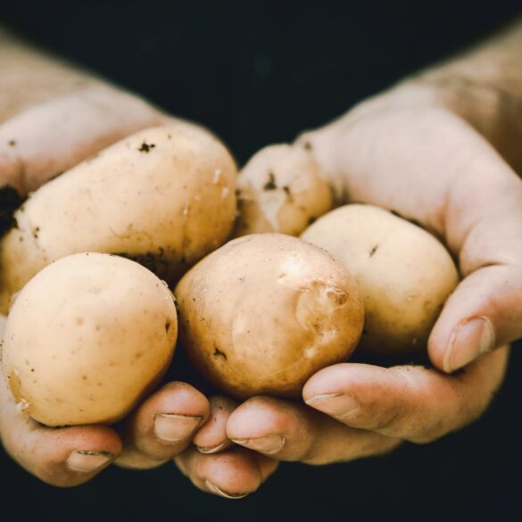 ridurre gli sprechi alimentari